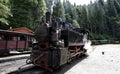 Steam train on Vaser Valley Royalty Free Stock Photo